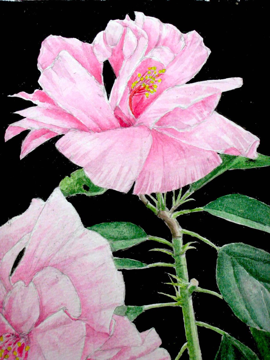 お気に入りの花の写真を水彩画にします あなたの好きな花を作品にして飾りませんか？ イメージ7