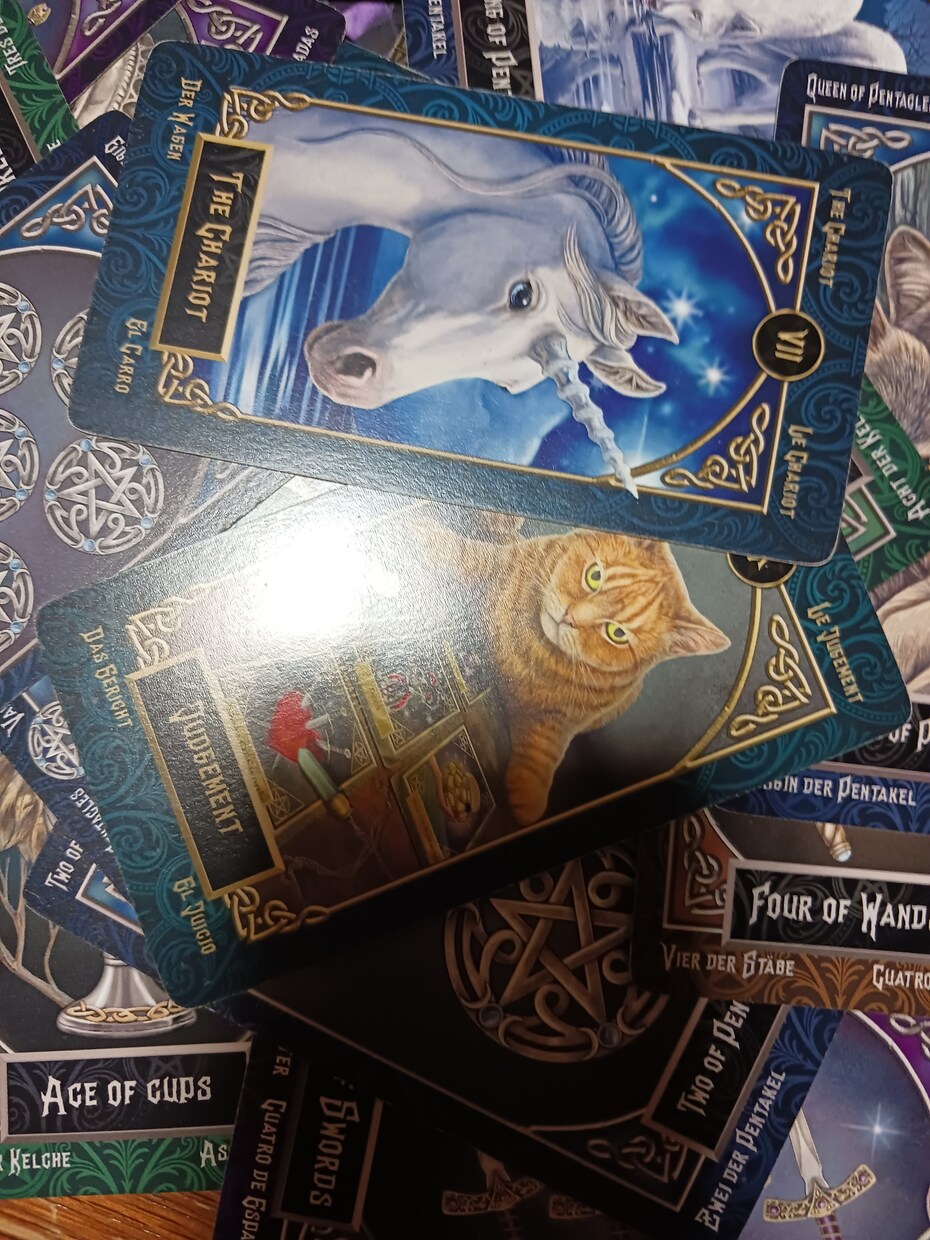 普段のお困りごとから占いいたします 私のカード達があなた様の心配事を取り除いてくれるはずです！！ イメージ3