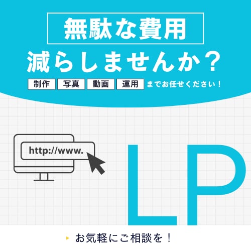 WordPressで統一されたLPを作成しますます ご要望に応じ、LP制作の素材作成（画像・動画）も行います イメージ1