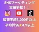 インスタ営業DM格安代行サービスを行います ✨DM送信をプロが代行サポート✨500件 イメージ2