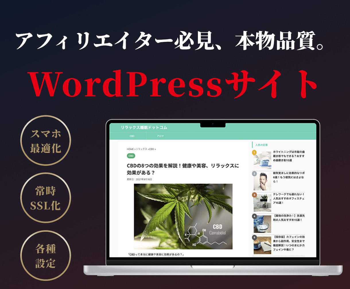 アフィリエイト特化WordpressHP制作します 最大月間PV数100万のメディア運用経験ありの私達にお任せを イメージ1
