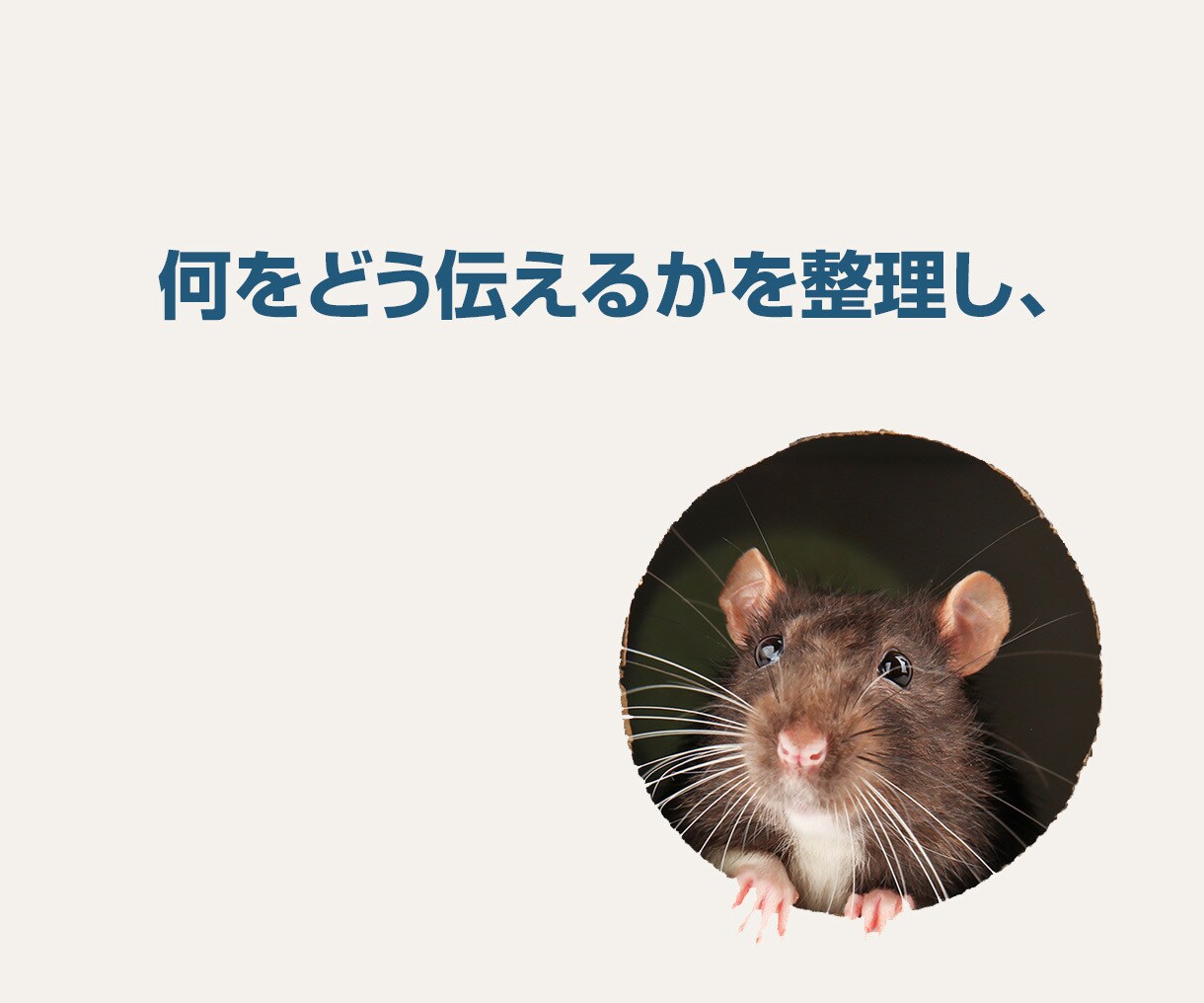 安売りせず、価値で選ばれるLP制作します 商品の魅力と背景を整理し、申込みにつながるLPへ イメージ4