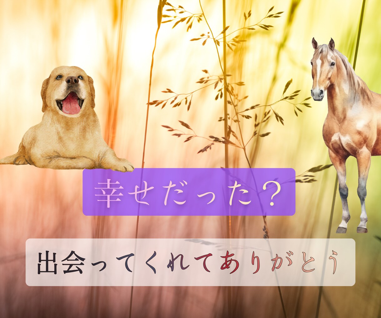 ずっと大切な家族　ペットロスの悲しみ、お聴きします 可愛いしぐさ、純粋な魂、忘れられない感触、愛おしいよね イメージ5