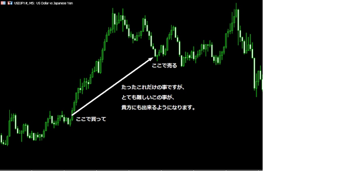 トレードで勝つための方法をご提供します 勝つための全てを提供します。安心して勝利してください イメージ3
