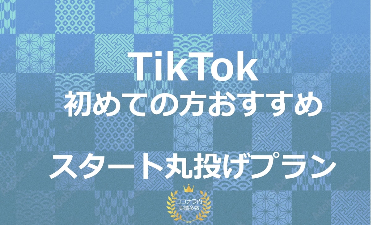 プロが【スタート丸投げ】TikTok運用します 1ヶ月間プロが収益化に向けた運用を行います イメージ1
