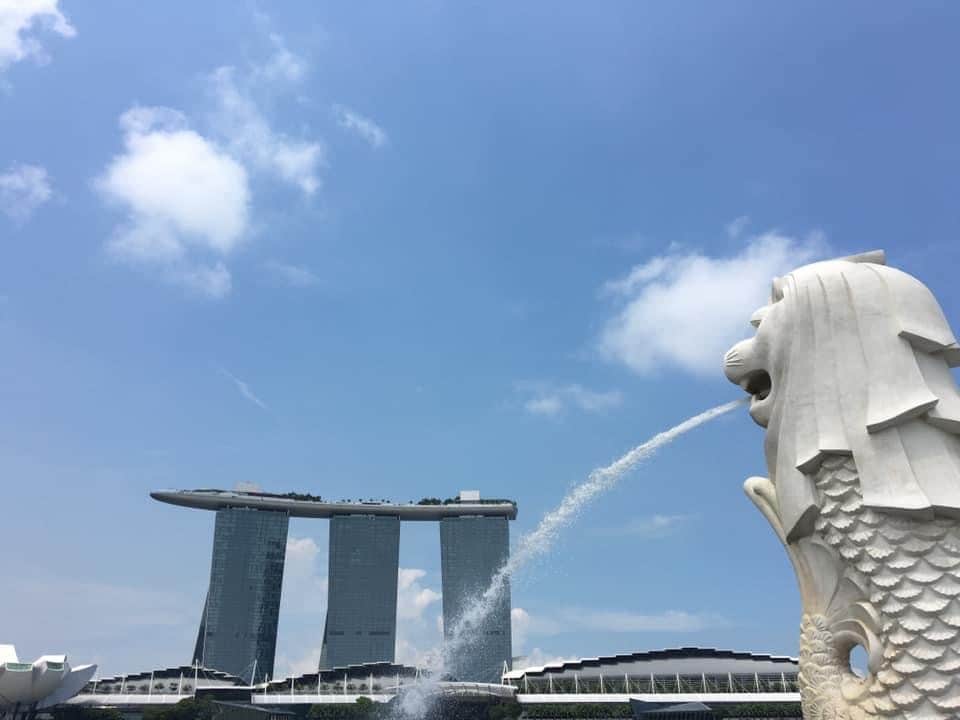 シンガポールマレーシア移住についてアドバイスします 両国の違い、海外移住のリアルをお伝えします イメージ1