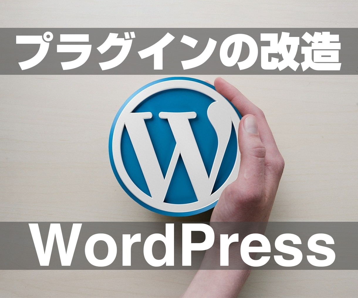 WordPressのプラグインをカスタマイズします 既存のプラグインの機能などを改造変更します イメージ1
