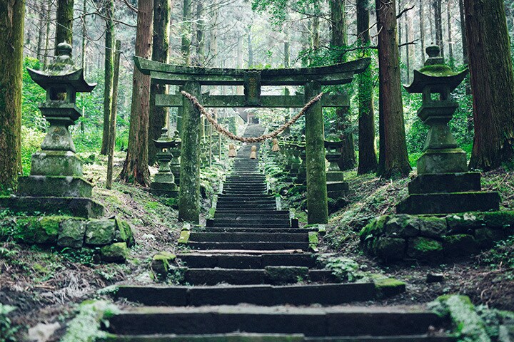 式神霊感タロット占い【人生総合】霊感霊視占います ★彼の気持ち★二人の未来★蛇神★霊能者★式神★短時間鑑定★ イメージ5