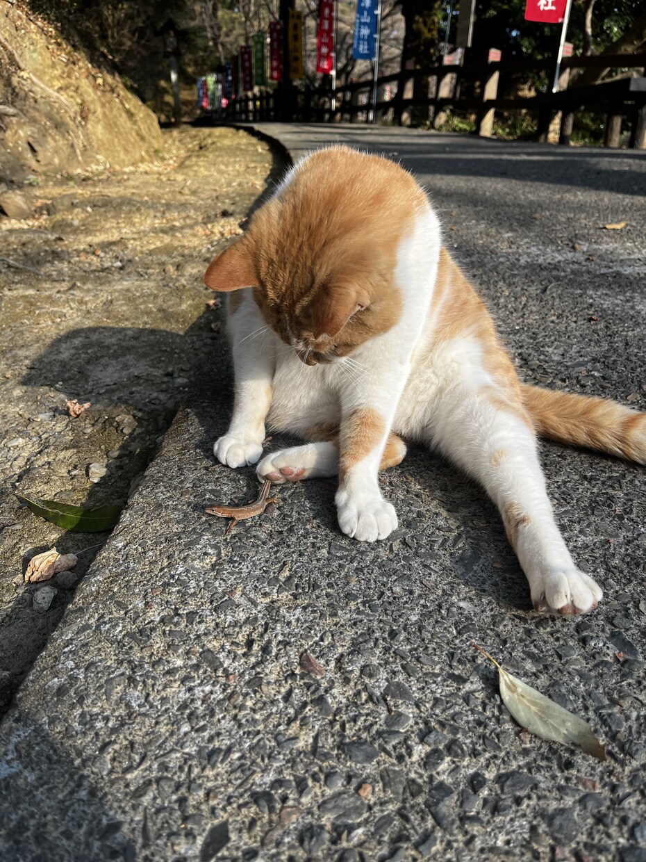 味方になります 誰にも話せない時ありますよね、僕に話してください。 イメージ1