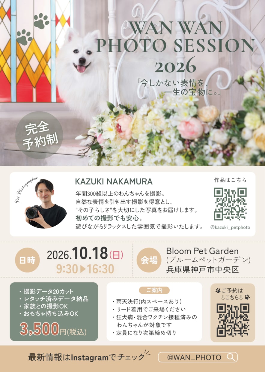 イベントチラシをデザインします 目的や雰囲気に合わせて見やすく伝わるチラシに仕上げます イメージ1