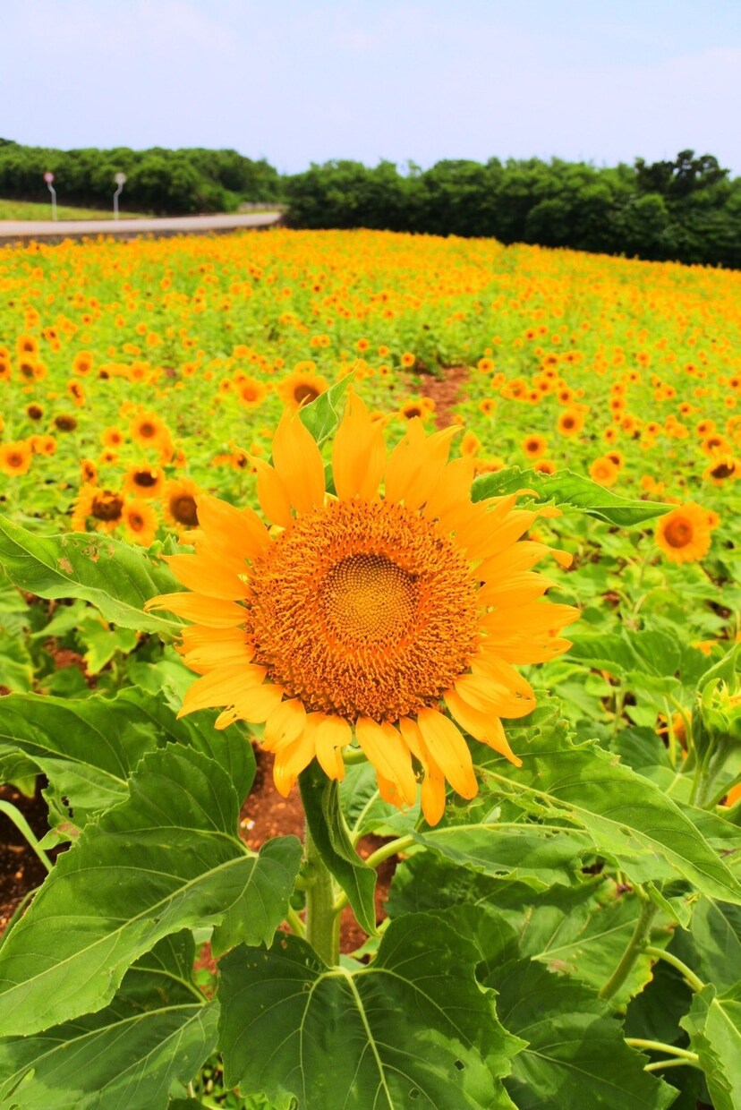 誰でもいい！話し相手が欲しい時の話し相手します 気持ちも自分もハッピーになろう♪ イメージ1