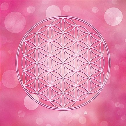あなたを「特別な人に」導きます!!開運鑑定します 自分を変えたい方限定！あなたの「花」を咲かせます イメージ1