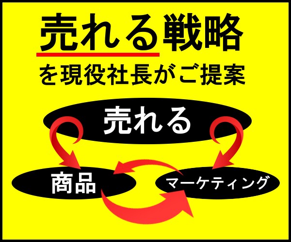 売れる戦略を現役社長がアドバイスします 売れる「商品」と売れる「マーケティング」をゼロからご提案 イメージ1