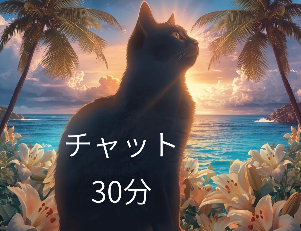 チャットでやりとり　タロットカードで占います 今知りたいことをタロットで占います イメージ1