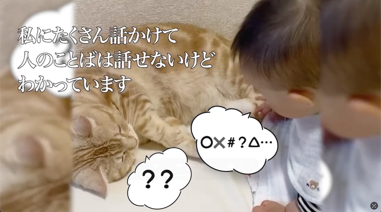 想いを形に、愛するペットのメモリアル動画ます 心に響く、優しい映像をお届け！！！ イメージ4