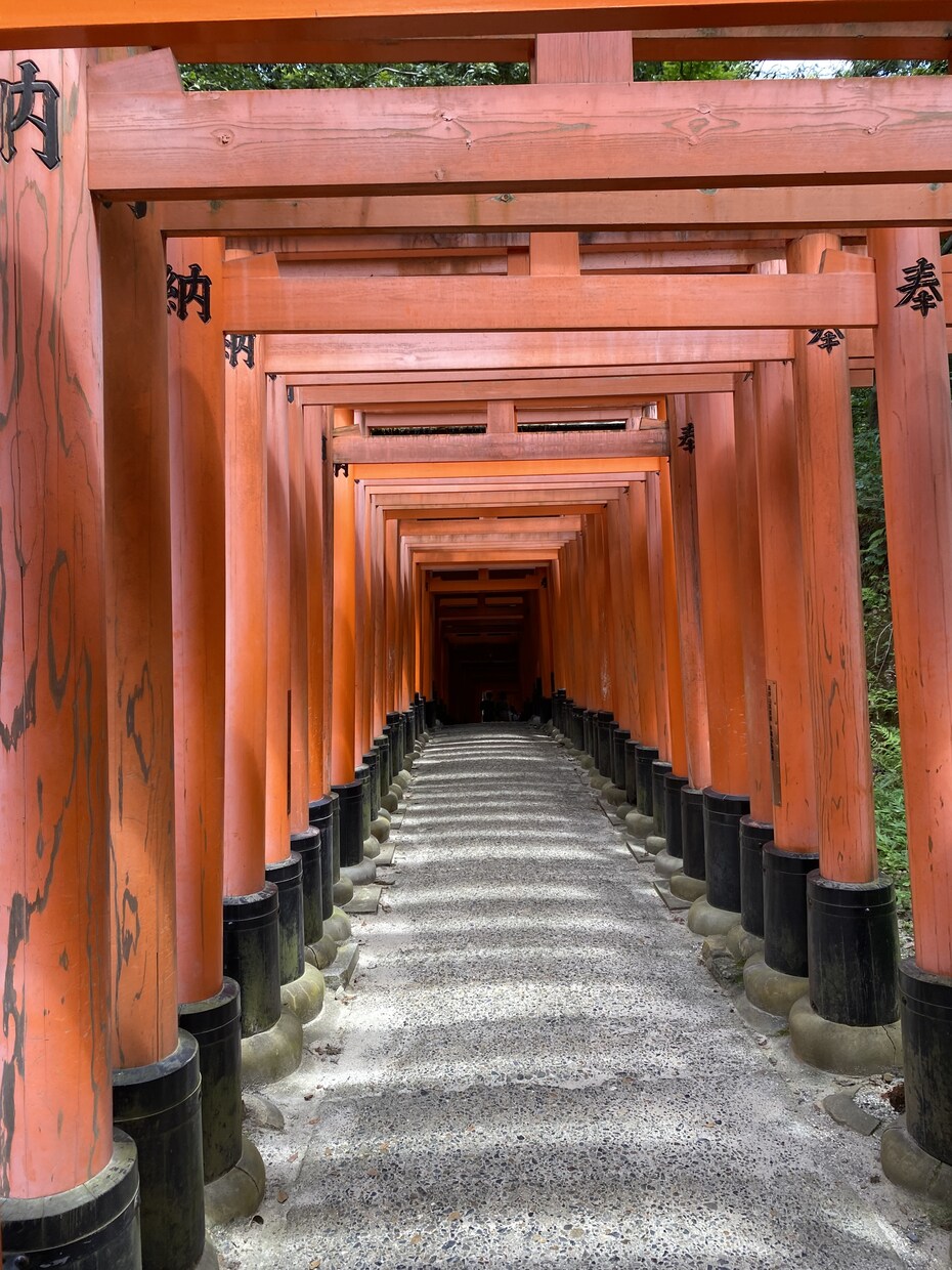 貴方の話を聞きます。他愛のない話から何でも聞きます とにかく人と話がしたい方がオススメです！ イメージ3