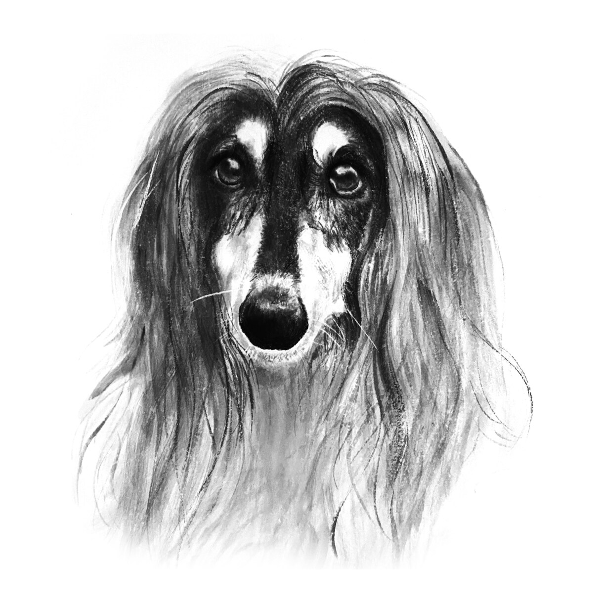 ペットの写真で水墨画を描きます 愛犬、愛猫の写真を水墨画で個性的なアート作品に仕上げます！ イメージ2
