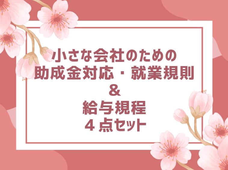 助成金対応の就業規則・賃金規程を整備します 助成金と労務リスクに強い就業規則を一括整備 イメージ4