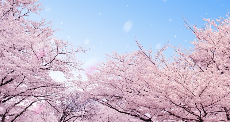 元教師が中学英語教えます 教師経験あります！優しく丁寧に、教えます！ イメージ1