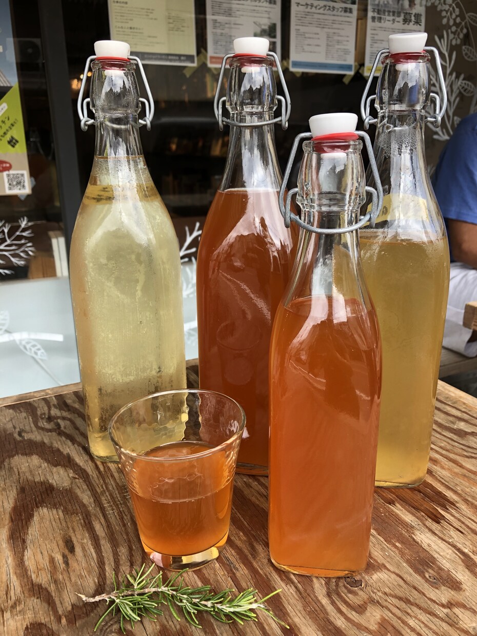 腸が変われば人生が変わる！腸活　発酵飲料が学べます 海外で大人気　KOMBUCHAの全てが学べます！ イメージ2