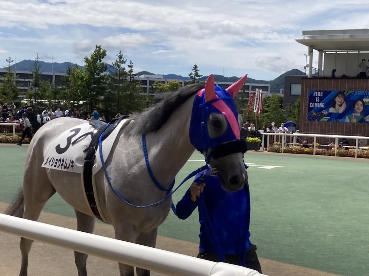貴重」現役競走馬乗りの私が競馬予想教えます 競馬業界で働いてる人にしか入らない重要な情報あります。 イメージ2