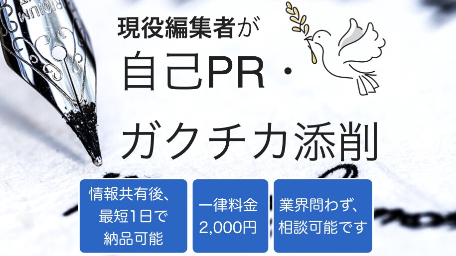 現役編集者が自己PR・ガクチカを添削します！ます 安価かつスピーディーに、内容の質にもこだわって対応します。 イメージ1