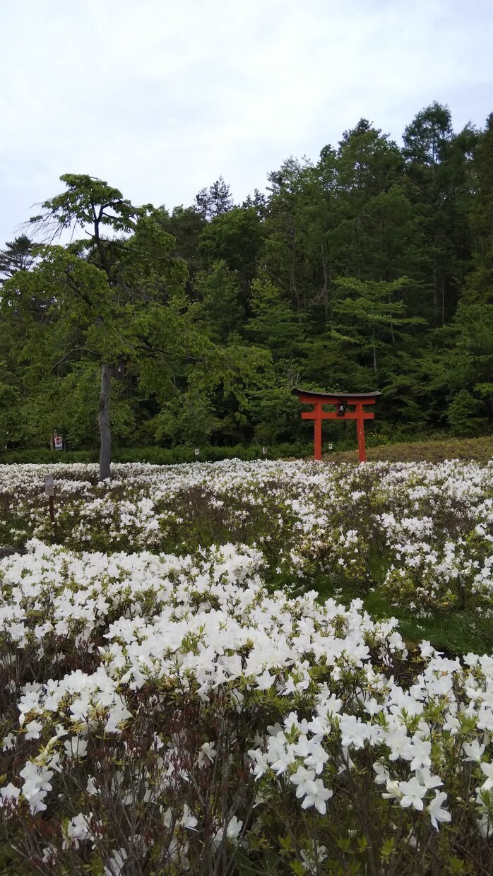 風景写真提供します 出掛けた先で撮影した写真を提供します。 イメージ2