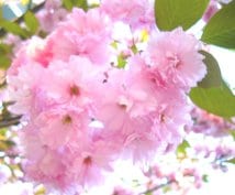 復縁希望の方専用 ♡愛情復活・復縁♡お手伝いします お相手様に楽しかった思い出を送り届けます♡ イメージ1