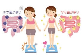 あなたの腸内環境整えます 今流行りの腸活！あなたの腸内は健康ですか？ イメージ2