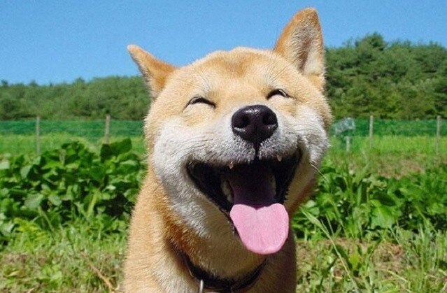あなたのお悩み、笑顔(*^^*)に変えます モヤモヤがいやになっちゃったあなたへ。 イメージ3