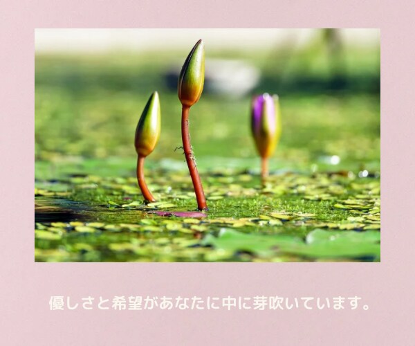 天国に旅立ったあの人の想いをカードで読み解きます ✨魂で繋がる大切な人からあなたに伝えたい必要なメッセージ イメージ8