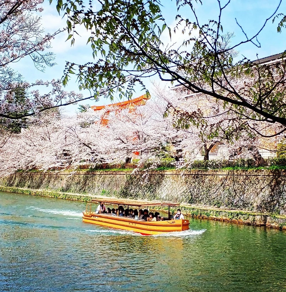 京都の四季の写真を提供します 京都の癒される四季折々の写真を！ イメージ6