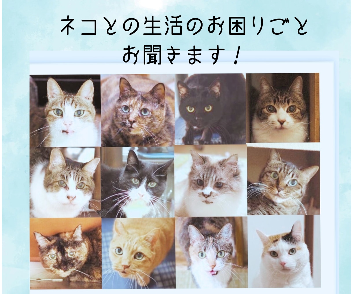 仕事、会社、人間関係&…のお悩み、愚痴聞きます 短時間でも大丈夫です。雑談から重めのお話まで！ イメージ8