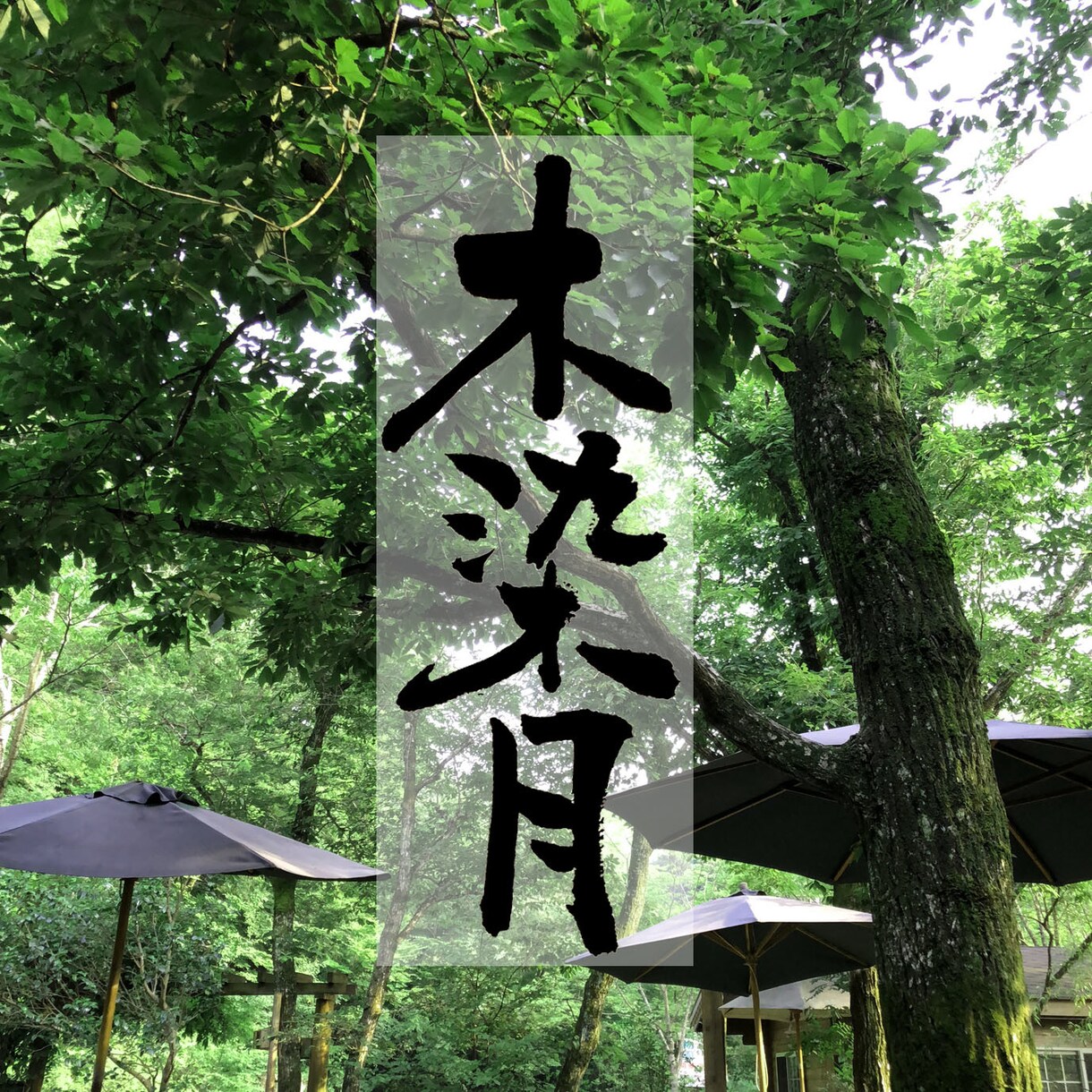 筆文字のデザイン力と書道の技術を活かして制作します ひとつ格上の筆文字を目指します イメージ6
