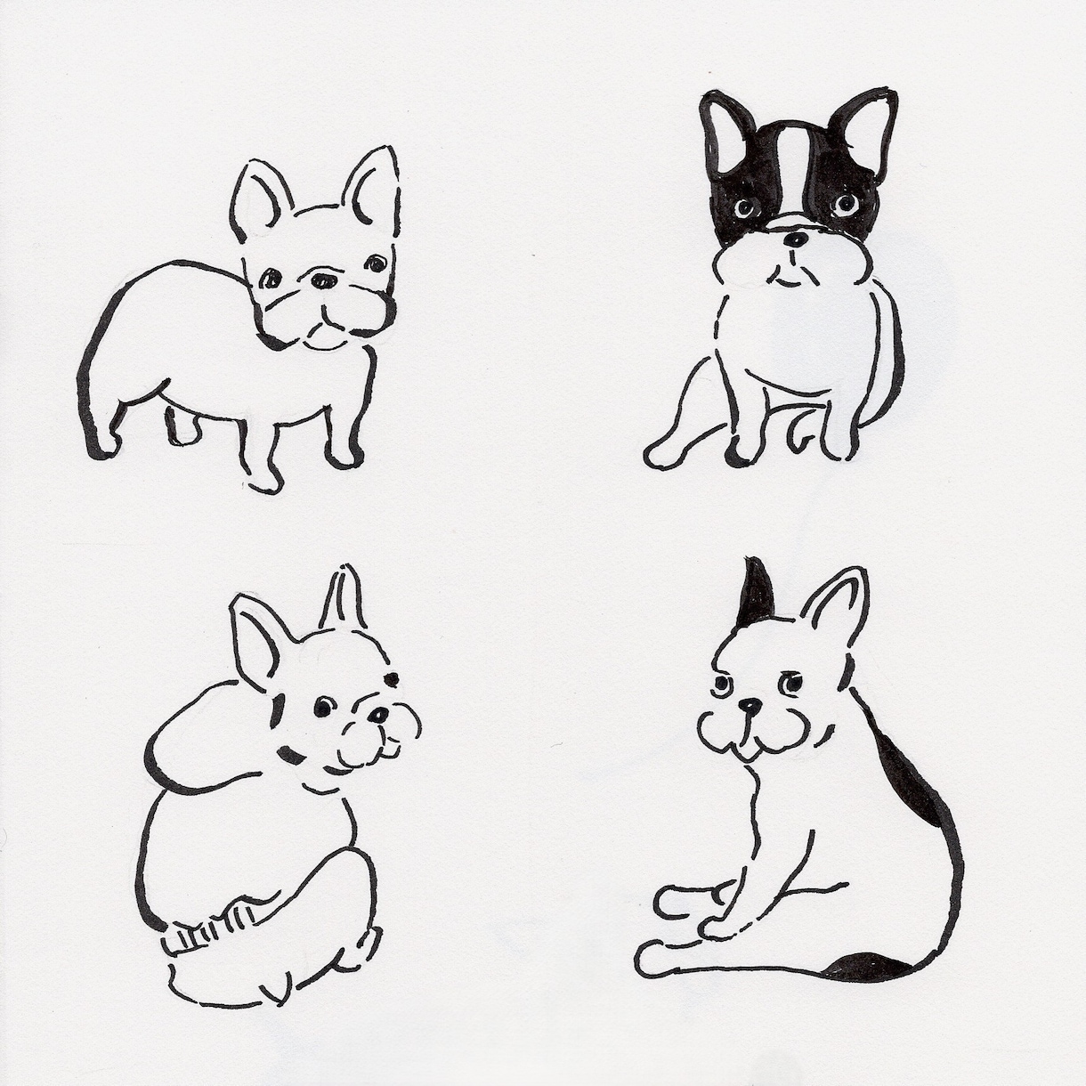 ロゴ・印刷物に使える上質な線画イラスト制作します 無駄な線を削ぎ落とし、スタイリッシュなベクター線画制作 イメージ7