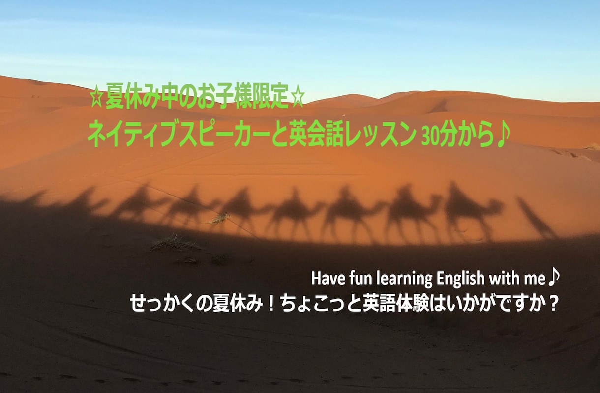 夏休み中の中学生以下限定！英会話レッスンします お休み中の特別体験に！ネイティブとレッスンしませんか☆ イメージ1