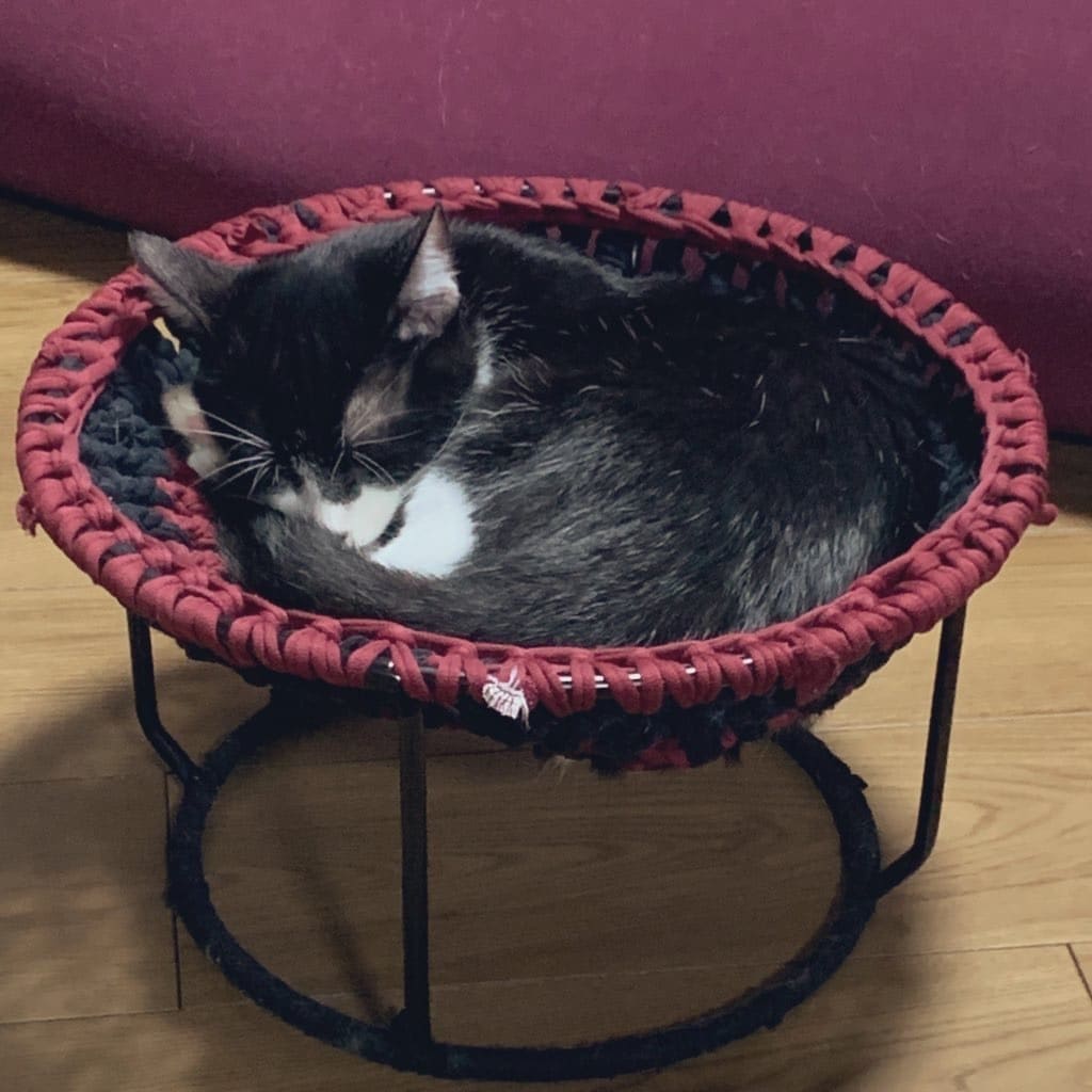 オリジナルニャンモック作ります あなたの着ていたTシャツを猫ちゃんのベットに！ イメージ1