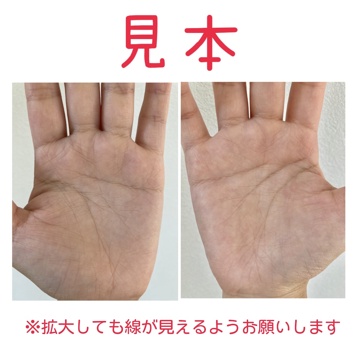 手相で未来のあなたを元気にします イラストで解りやすく解説致します。(お子様についても可) イメージ3