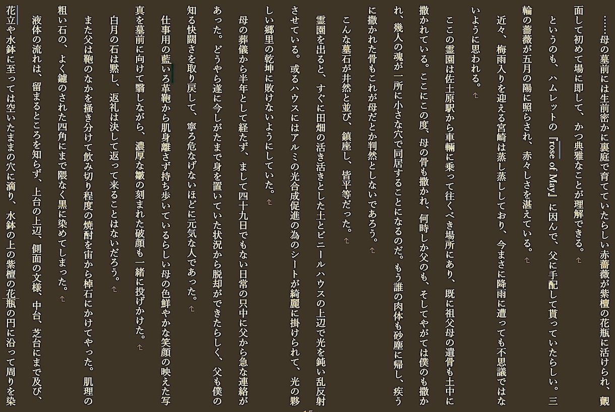 プロが世界でたった一つの小説・シナリオを執筆します ”求めてた感じ”と違う…そんなあなたの不安、私が解消します！ イメージ4
