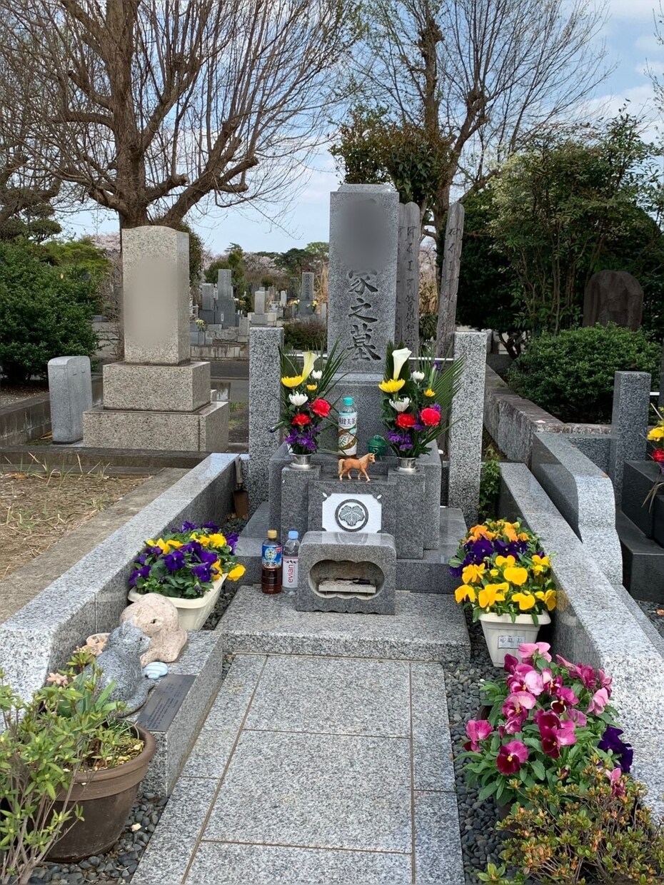 お墓参り前の除草剤の散布いたします そろそろお墓に行こうかな？その前に除草剤散布＆撮影いたします イメージ2