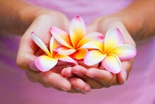 お気軽に☆あなたの知りたいことを天使に聞いてみませんか？確実で正確な情報がやってきます。 イメージ1