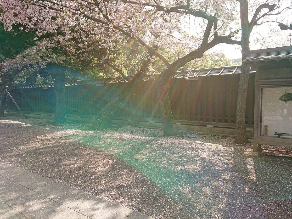 コロナ割引中*あの人の想いや未来、お伝えします 鑑定歴16年のプロが、あの人に聞きます イメージ2