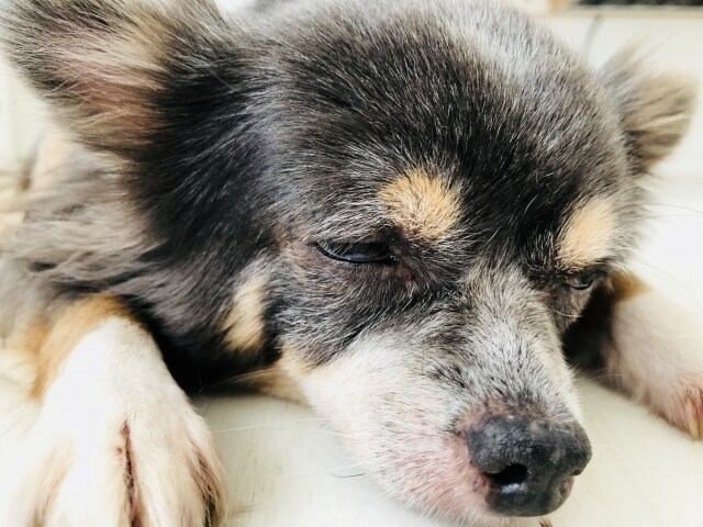 簡単で反則的な休憩術を教えます 疲れや眠気を忘れ、活発に行動したいあなたの為のズルい休憩法 イメージ1