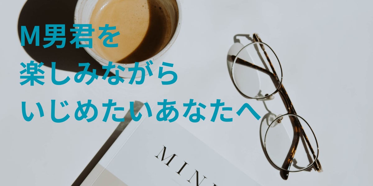 初心者S女様用！M男用テンプレートをお届けします 罵倒や叱るためのコツ満載！ネタ帳にも使えます。 イメージ1