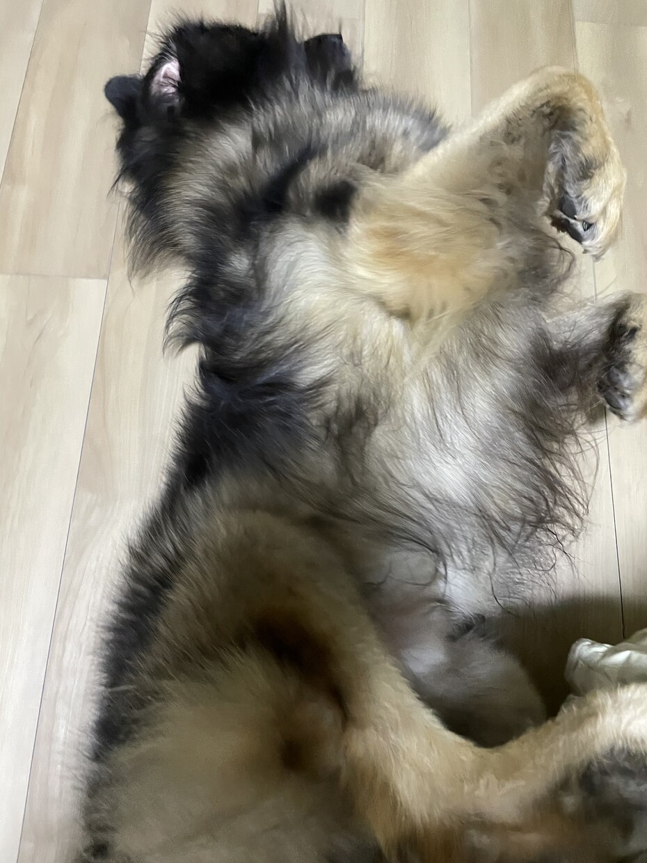 悩んでいる事、聴かせて頂きます 憩いの場所で自分の心に元気を与えてあげませんか？ イメージ2