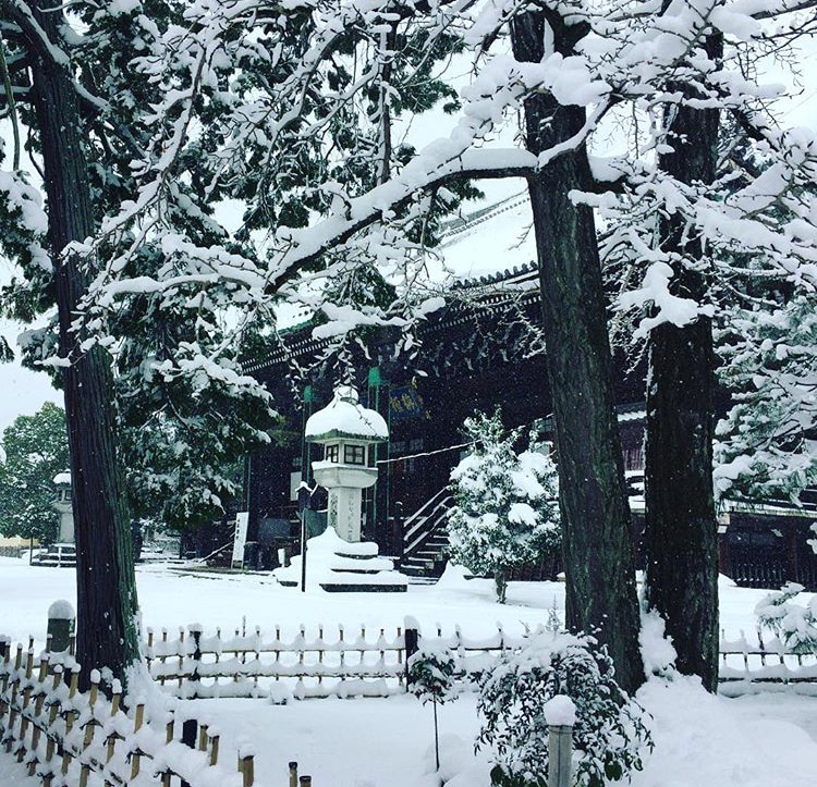 京都（近郊）の寺社仏閣へかわりに参拝致します ご自身での参拝希望でも、遠方にお住みの方、お時間のない方へ イメージ3