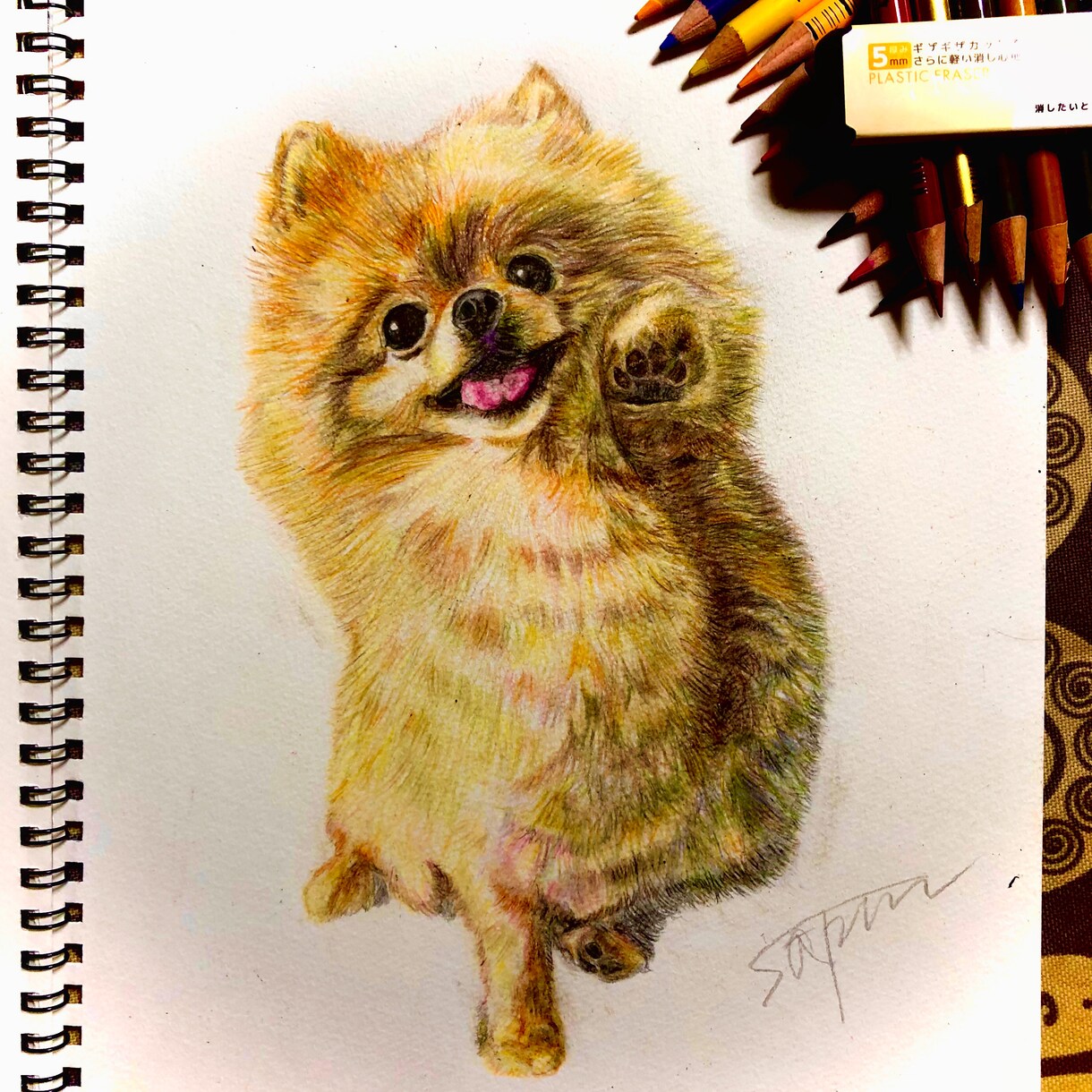 可愛い！思わず飾りたくなるペットイラスト描きます 世界にたった1枚の宝物を作りませんか？ イメージ2