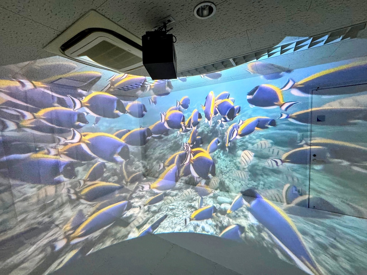 VRゴーグル不要の全員参加型VRを提案します 360°動画再生に最適なVRプロジェクターを使用したイベント イメージ3