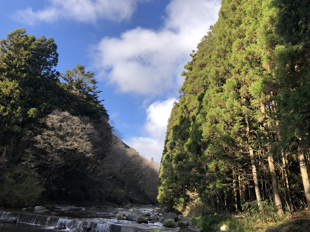 今まさに人間関係でお悩みの方、お話しうかがいます 職場の上司・同僚・家族・友人・恋人等々何でもお話しください イメージ1