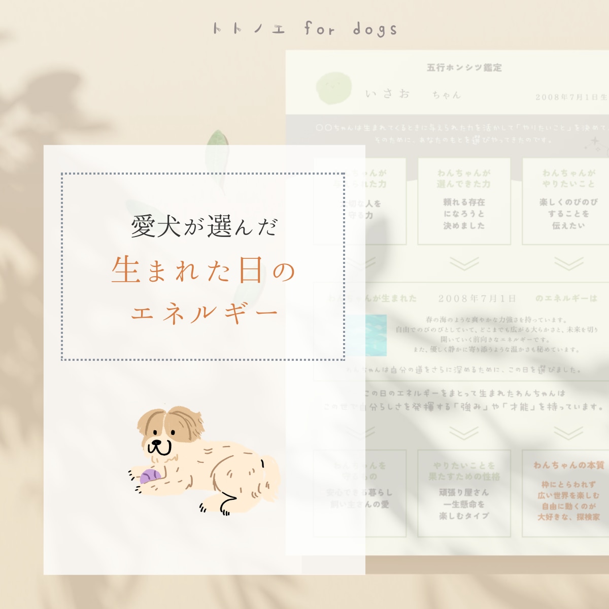 愛犬が生まれ持つ本質「人生の設計図」をひも解きます 愛犬の本質を深く知ることで、 今よりもっと愛おしい日々に。 イメージ3